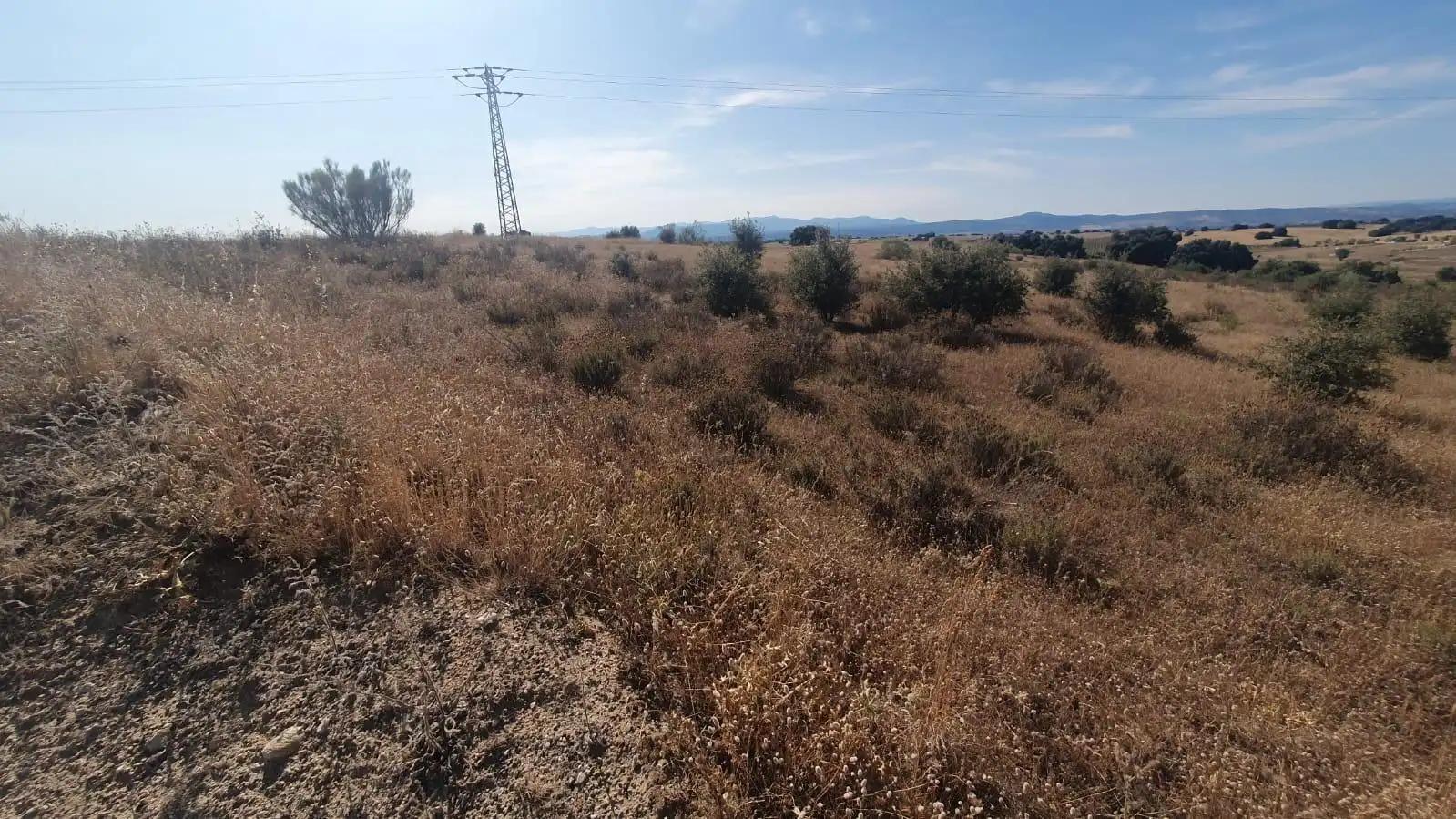 Land for sale in La Torre de Esteban Hambrán