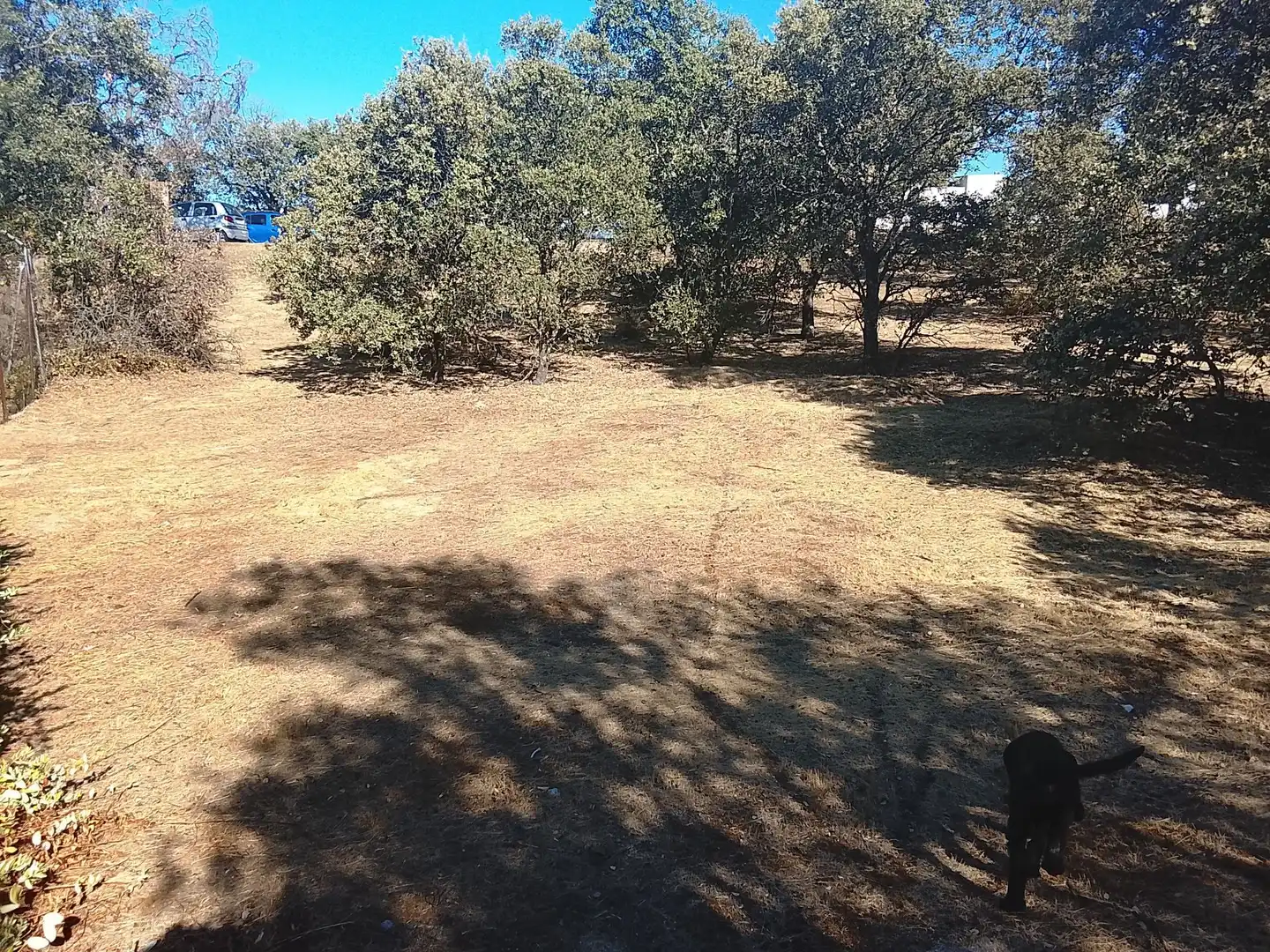 Terreni e lotti in vendita a Sevilla la Nueva, imagen 11