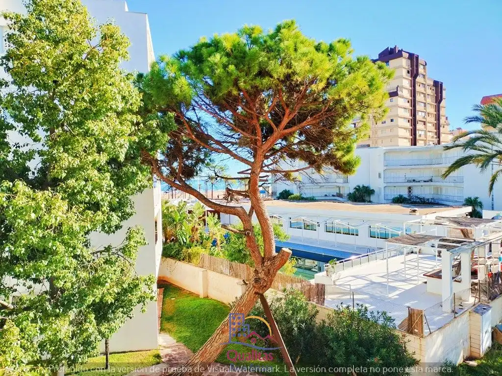 Apartment with garden to rent in Playa de Gandia, imagen 20