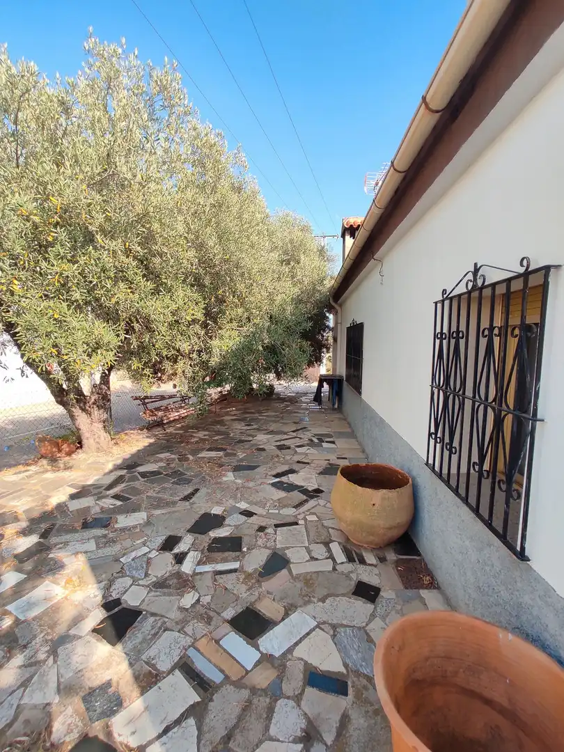 Detached house with pool for sale in Partidas de interior - Zona Rústica, imagen 15