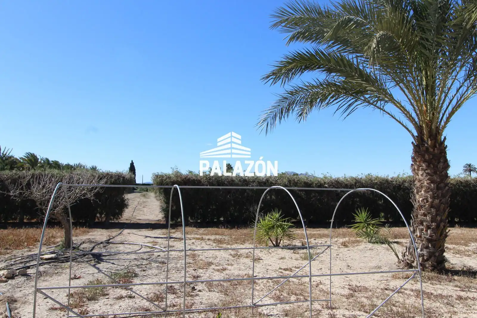 Chalet en venta en Dolores, imagen 32