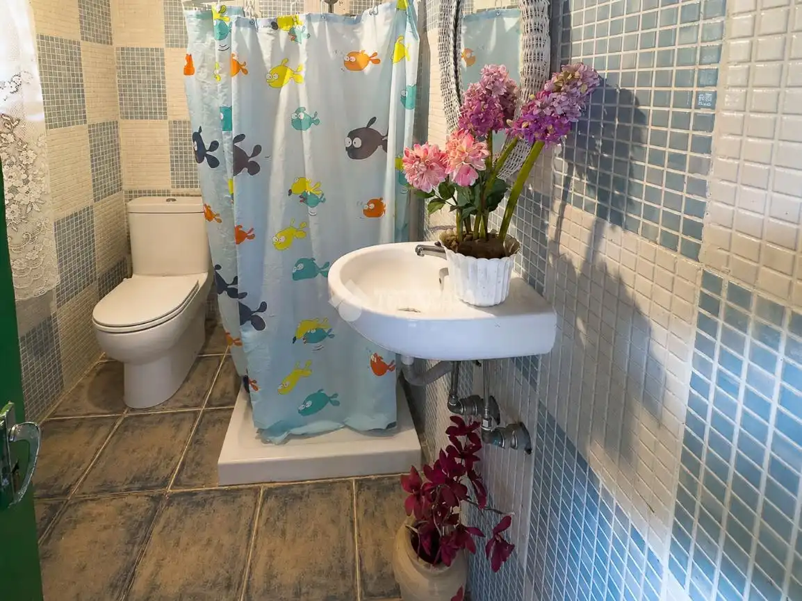 Baño de Casa o chalet en venta en Garachico