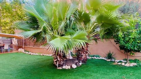 Photo 4 of Planta baja for sale in Passeig D'horta, Canaletes - Turonet, Barcelona