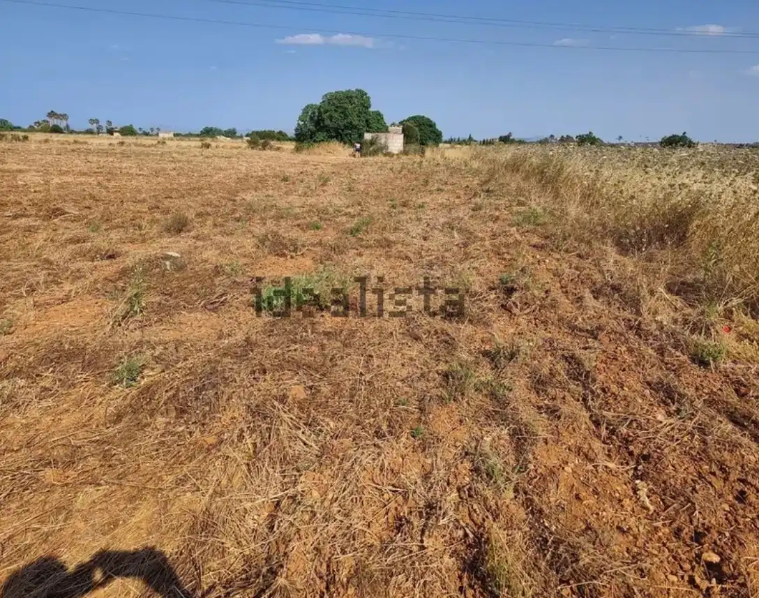 Terreno rustico in vendita a Cami de Son Mieres, imagen 3