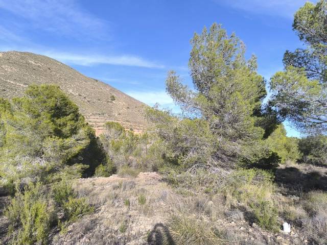 Terreno en Venta en Poligono 4, parcela 190 en Algueña