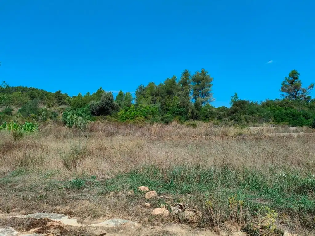 Terreni e lotti in vendita a Arens de Lledó, imagen 10