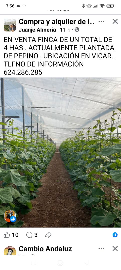 Garden of Land for sale in  Almería Capital