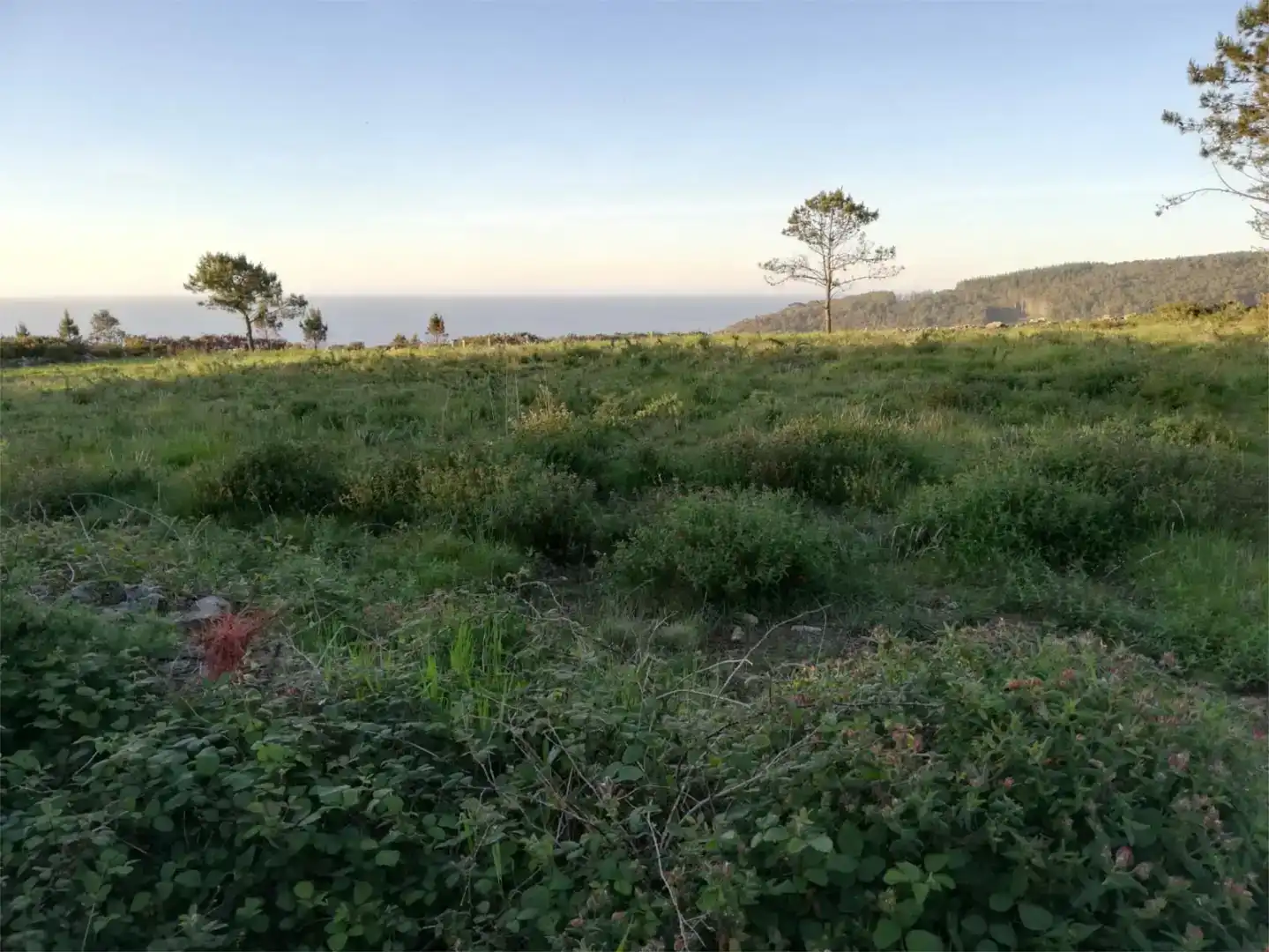 Finca rústica en venda en Tordoia