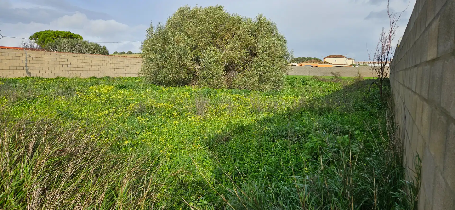 Rural land for sale in Las Lagunas - Campano, imagen 4