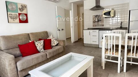 Dos apartamentos y un estudio en Conil, immagine 4