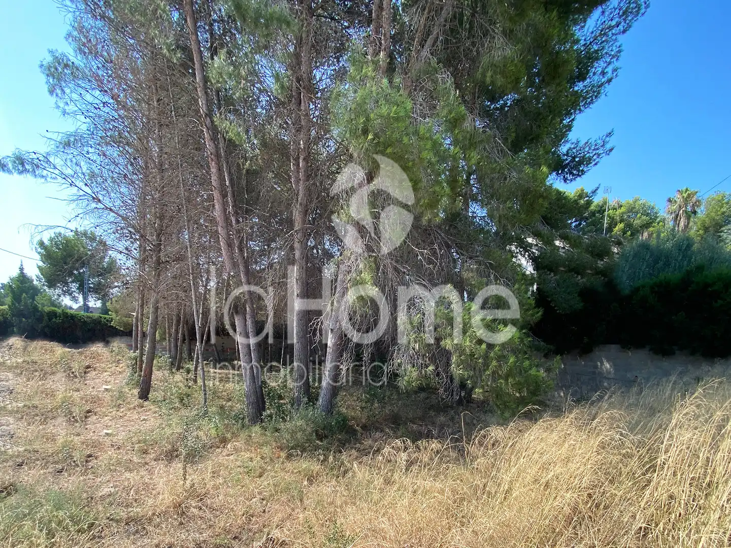 Terreny residencial en venda a La Cañada, imagen 3