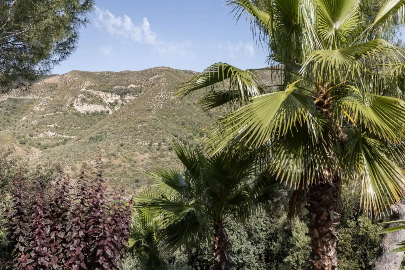 Vista exterior de Casa o chalet en venta en Dúdar con Aire acondicionado, Calefacción y Jardín privado