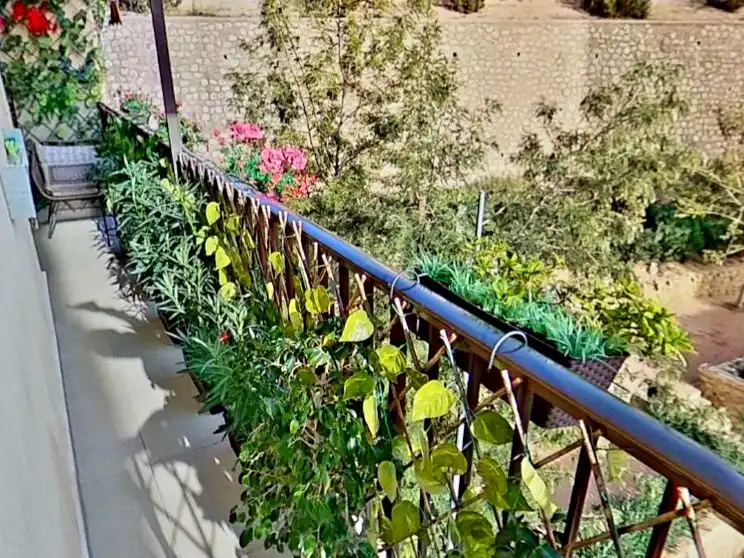 Piso con ascensor en venta en Calle Jaime María Buch 2, imagen 2