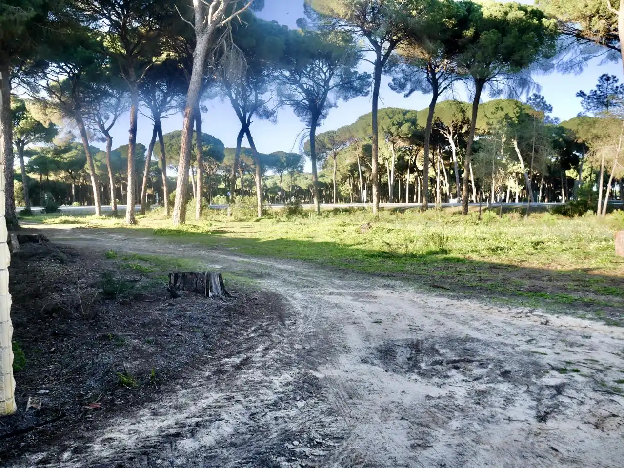 Vista exterior de Casa o xalet en venda en Hinojos amb Jardí privat i Moblat