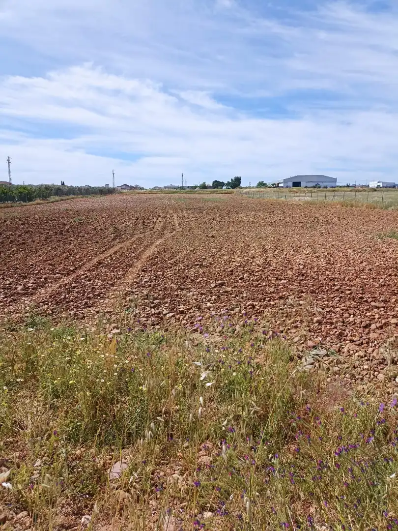 Terreny rústic en venda a Fuente Palmera, imagen 2