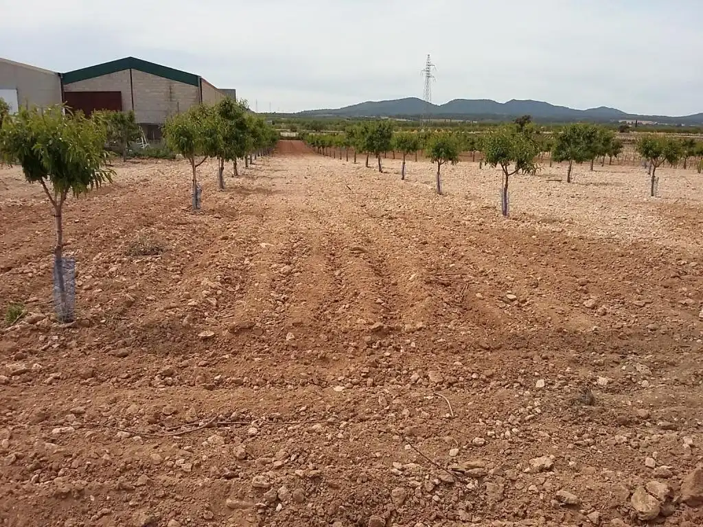 Terreny rústic en venda a CERCA (LA), imagen 10