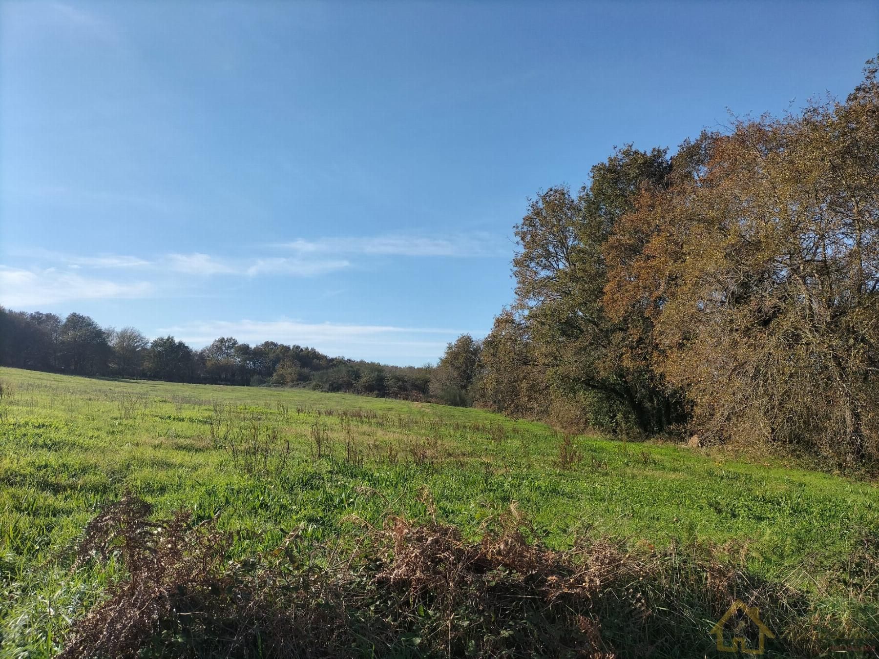 Finca rústica en venda en Sarria
