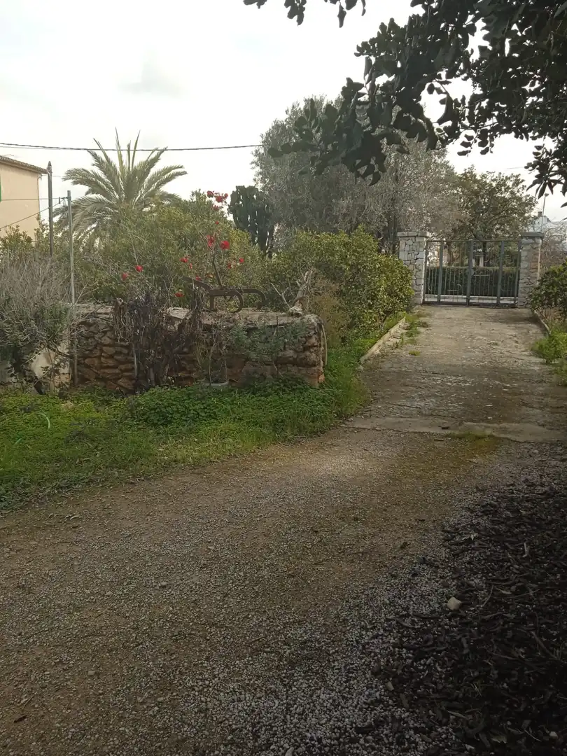 Casa o xalet en venda a Ma-1040, El Secar de la Real