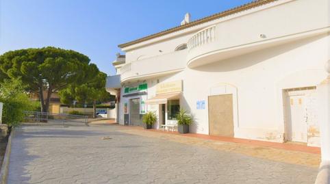 Photo 3 of Premises to rent in Avenida Vereda Cadiz Conil, Las Lagunas - Campano, Cádiz