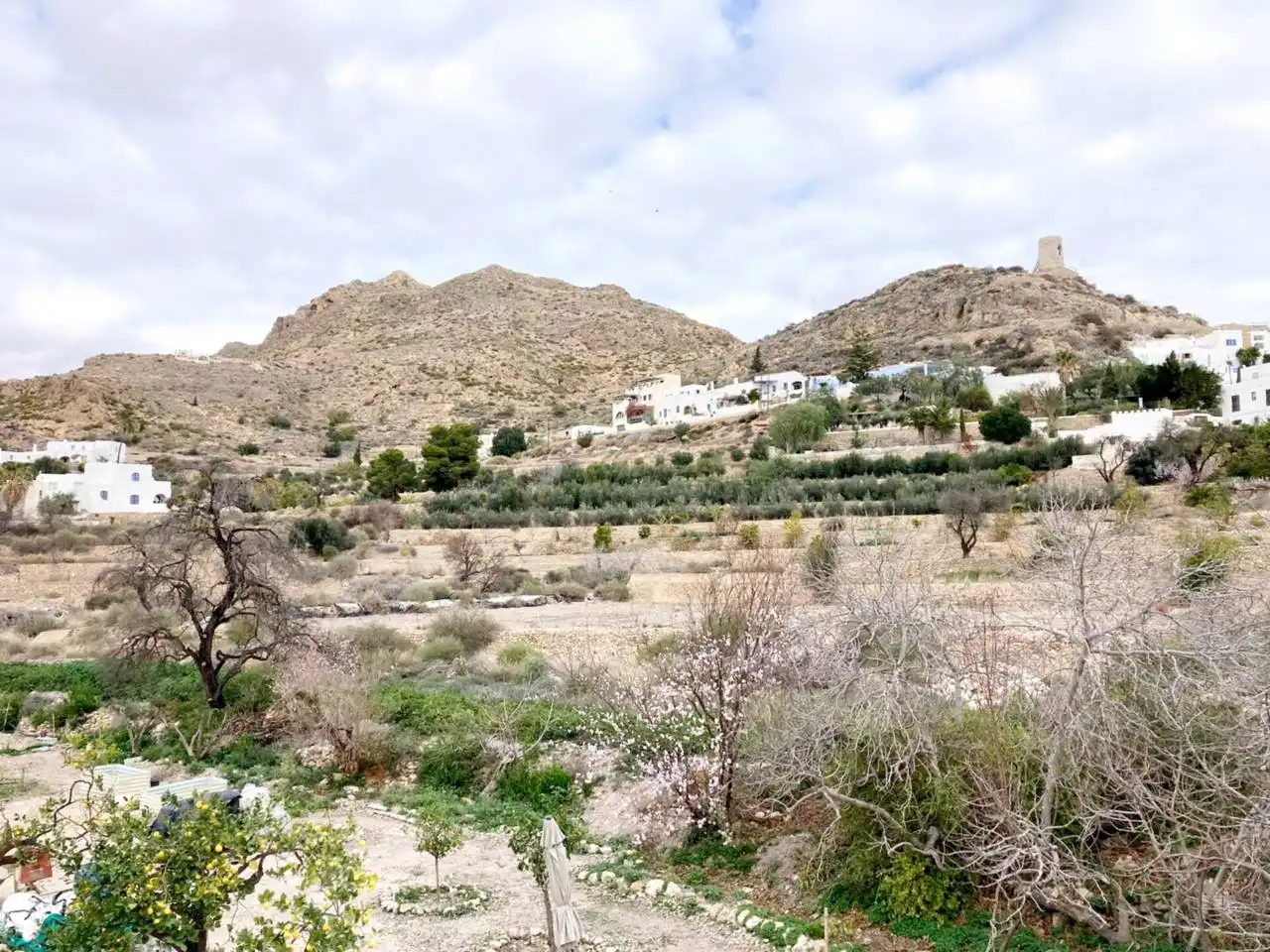 House for sale in Níjar pueblo, imagen 6