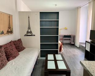 Living room of Loft to rent in  Granada Capital