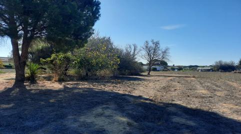 Photo 2 of Country house for sale in Pelagatos - Pago del Humo, Cádiz