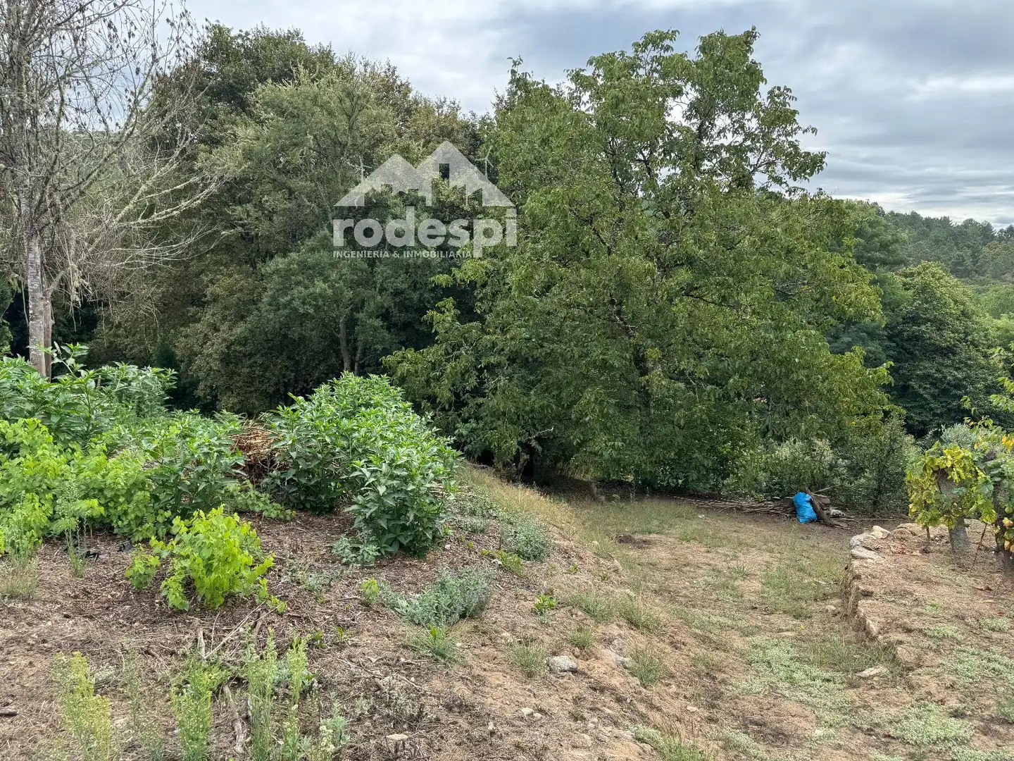 Others for sale in Cortegada, imagen 32