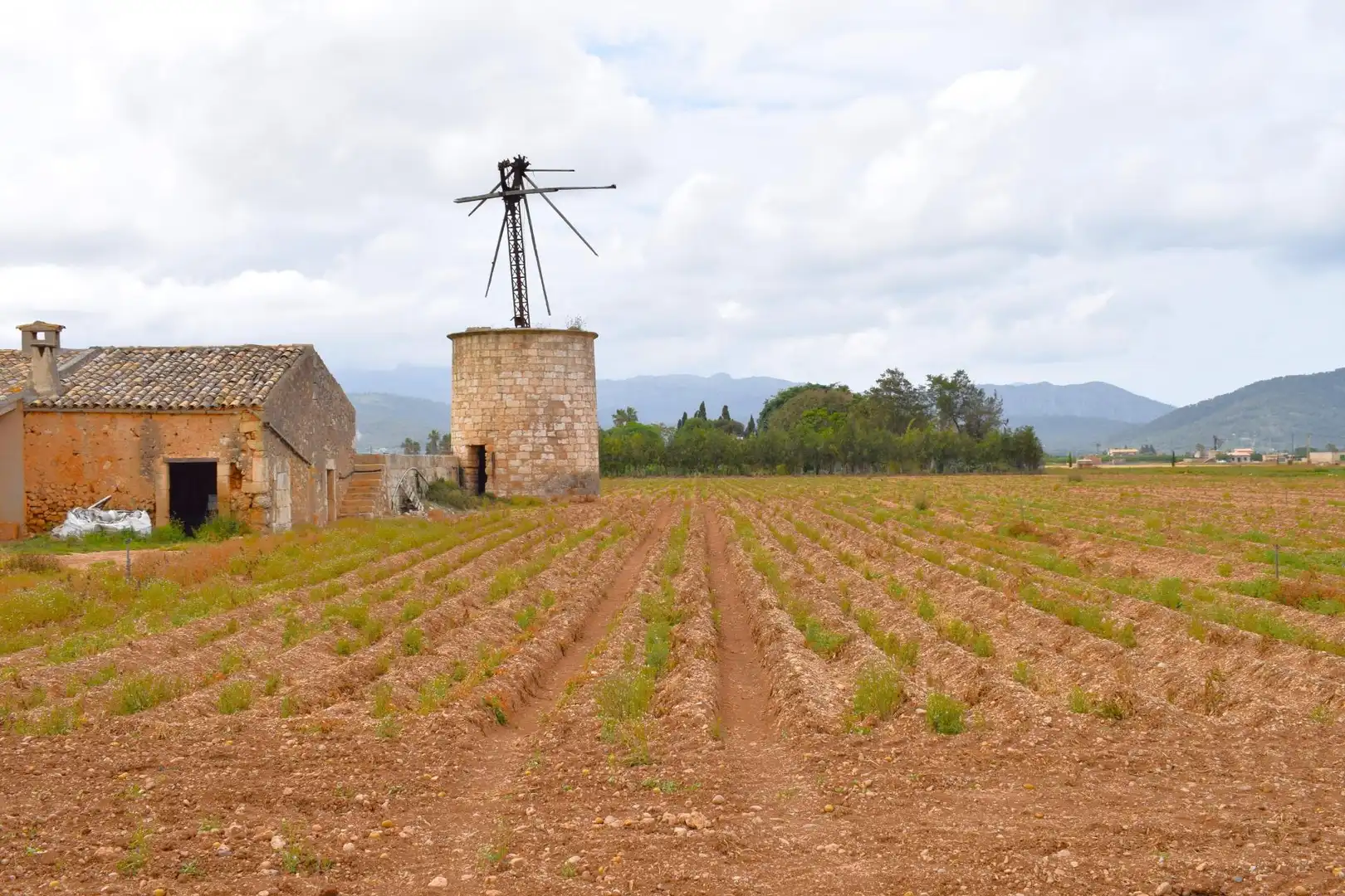 Country house with garden for sale in Sa Pobla, imagen 12