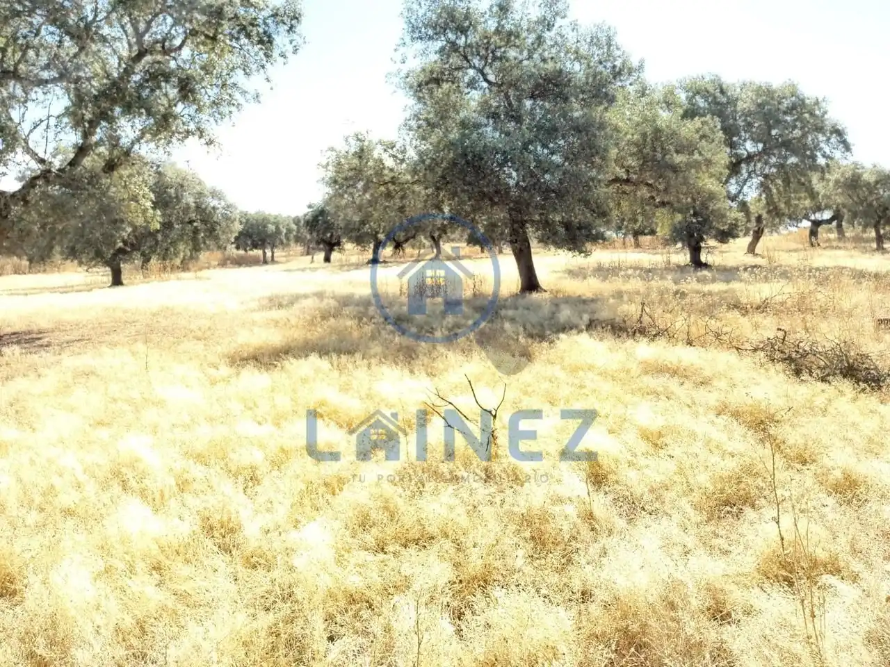 Lands and plots for sale in Fuente Obejuna, imagen 3
