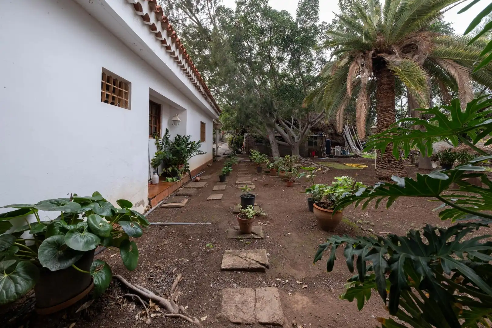 Casa o chalet en venta en Calle FUENTE MORALES, Almatriche
