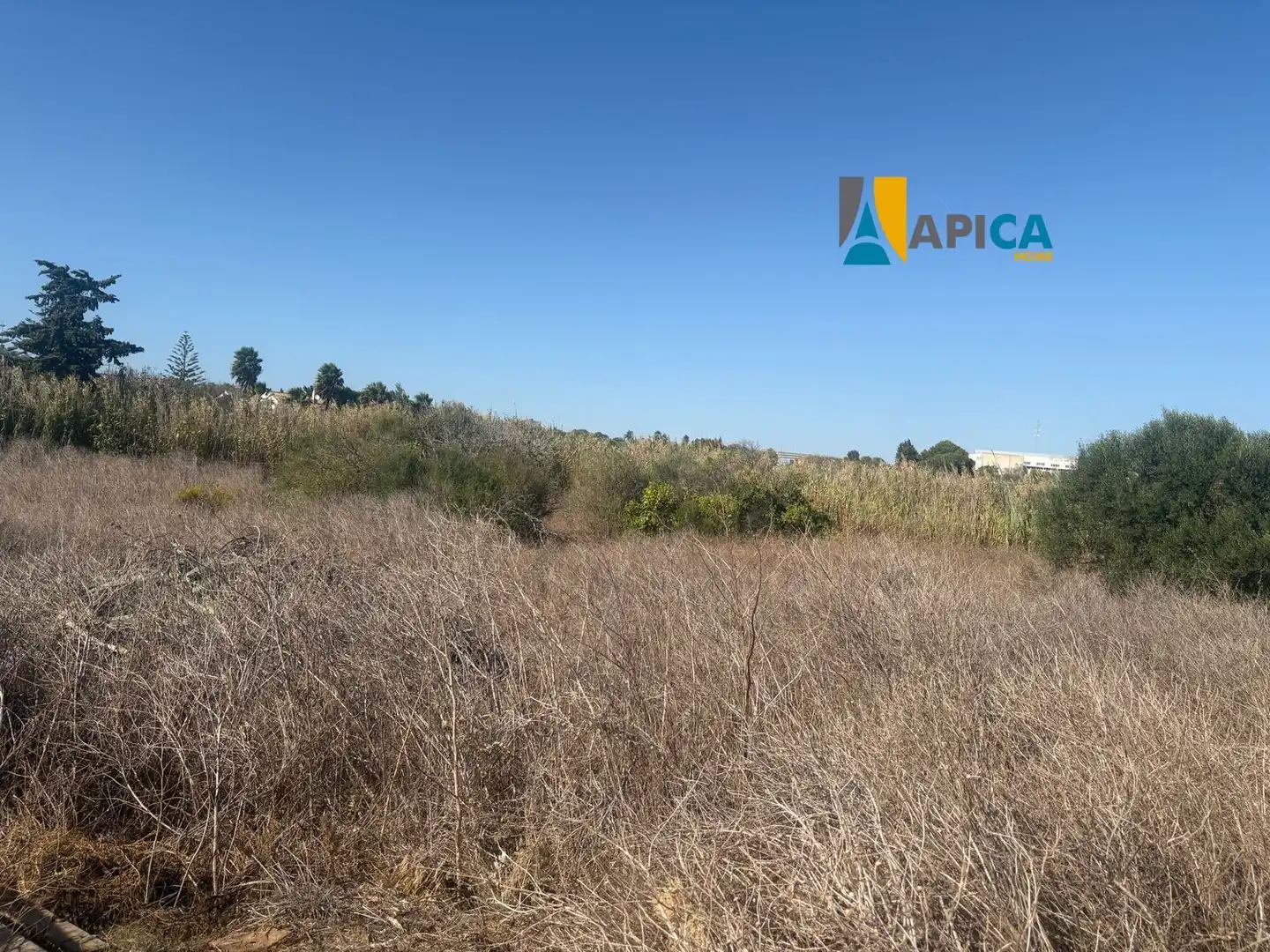 Rural land for sale in Conil, imagen 2