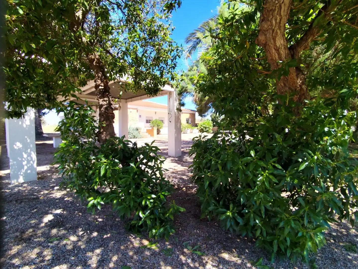 Maison rustique avec piscine à vendre à HERRERO, LO-DS LENTISCAR, imagen 9