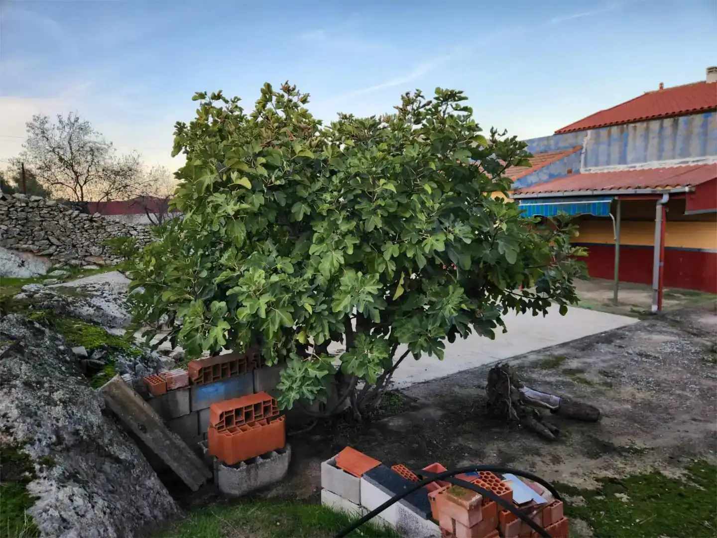 Garten von Wohnung zum Verkauf in Valdefuentes, Cáceres