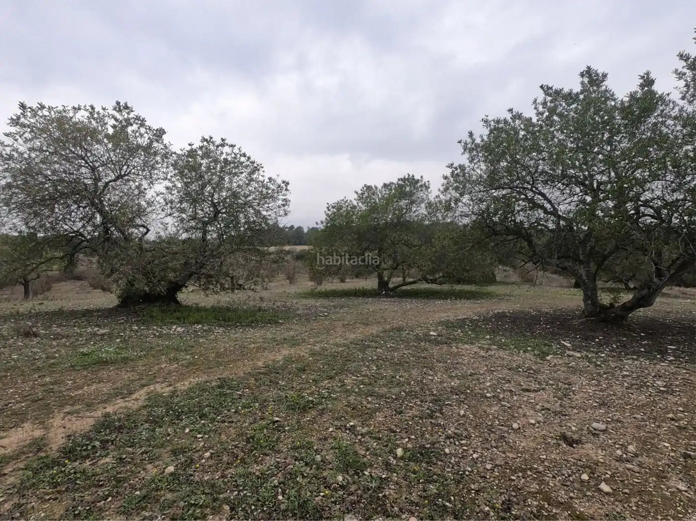 Rural land for sale in Carrer Sant Cristòfol 2, imagen 4