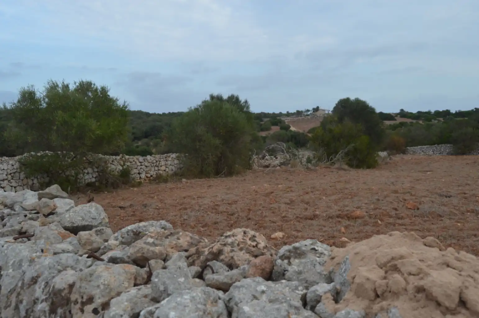 Country homes for sale in Ferreries poble