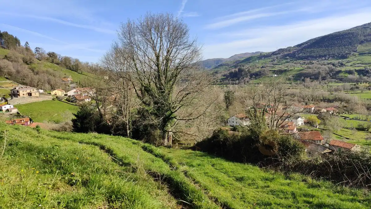 Terreni e lotti in vendita a Villegar, imagen 26