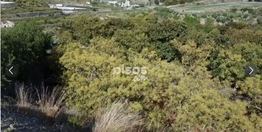 Terreno rústico en venta en Motril  ciudad, imagen 6