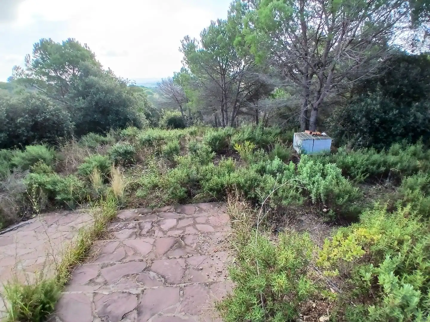 Terrain rustique à vendre à Avinguda Mirador 57, imagen 10