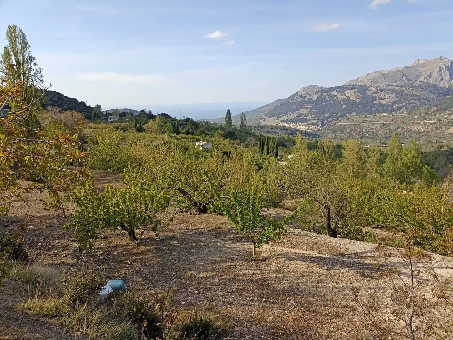 Land for sale in Torres