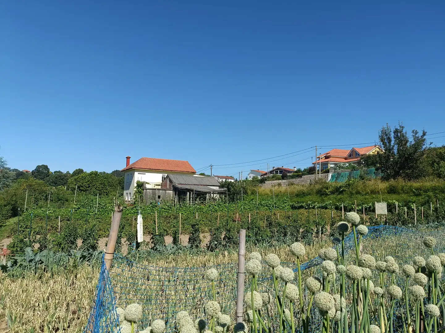 Haus mit Garten zum Verkauf in Currás, imagen 14
