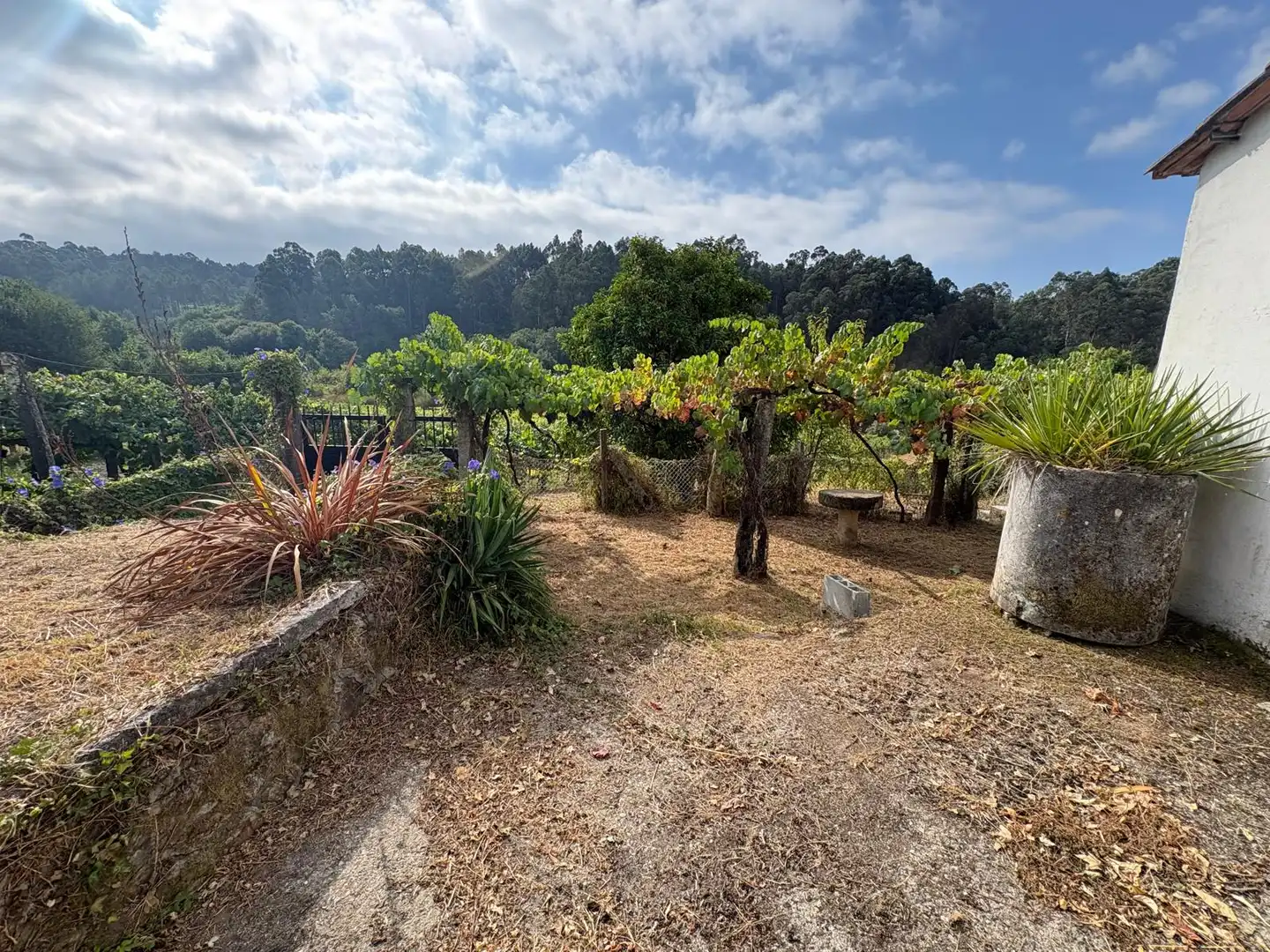 Garden of Houses for sale in Arbo  with Furnished