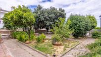 Jardí de Casa o xalet en venda en Gines amb Terrassa i Piscina