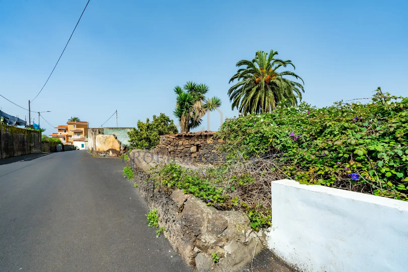Vista exterior de Finca rústica en venda en La Victoria de Acentejo