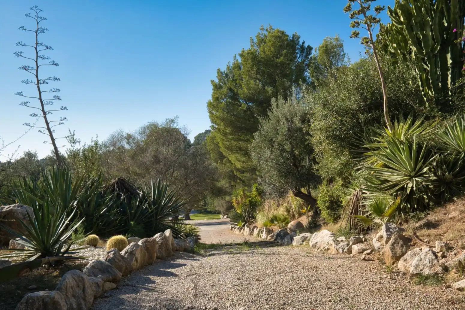 Maison avec terrasse à vendre à Santa María del Camí - Camino Camí des Raiguer, imagen 48