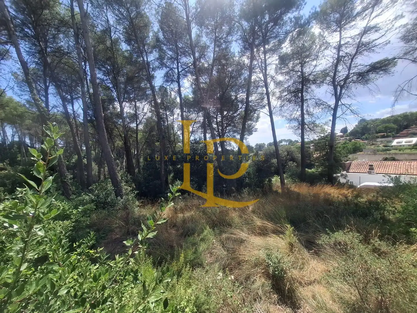 Terrain résidentiel à vendre à Carrer de las Camèlies, imagen 3