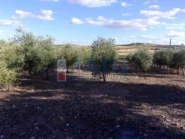 Casa rústica en venda a Valdepeñas, imagen 8