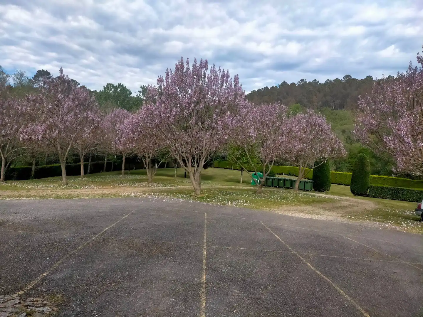 Jardín de Residencial en venta en A Merca  