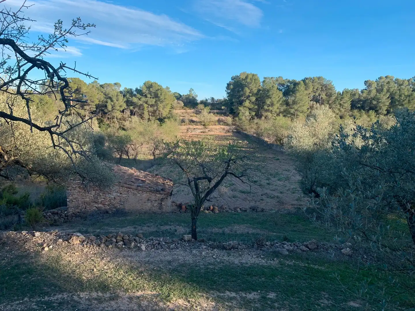Terrain rustique à vendre à Avinguda Lluís Companys, imagen 5