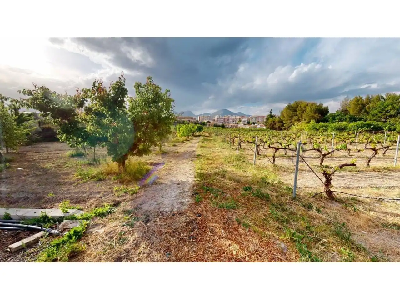 Casa rústica amb jardí en venda a Caravaca de la Cruz, imagen 36