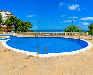 Piscina de Pis de lloguer en Peñíscola / Peníscola